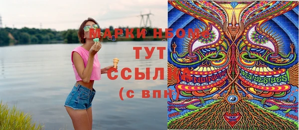 дурь Алексин