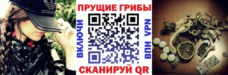 Галлюциногенные грибы Magic Shrooms  Каргат 